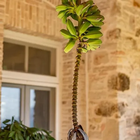 Maisonrose Corfu Villa
