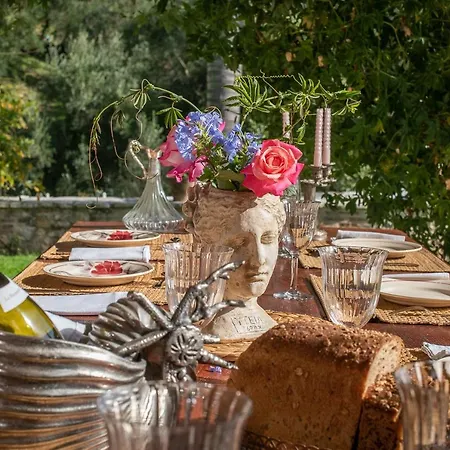 Maisonrose Corfu * Pelekas